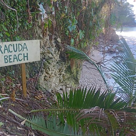 Hotel Barracuda Beach Port Antonio Exterior foto