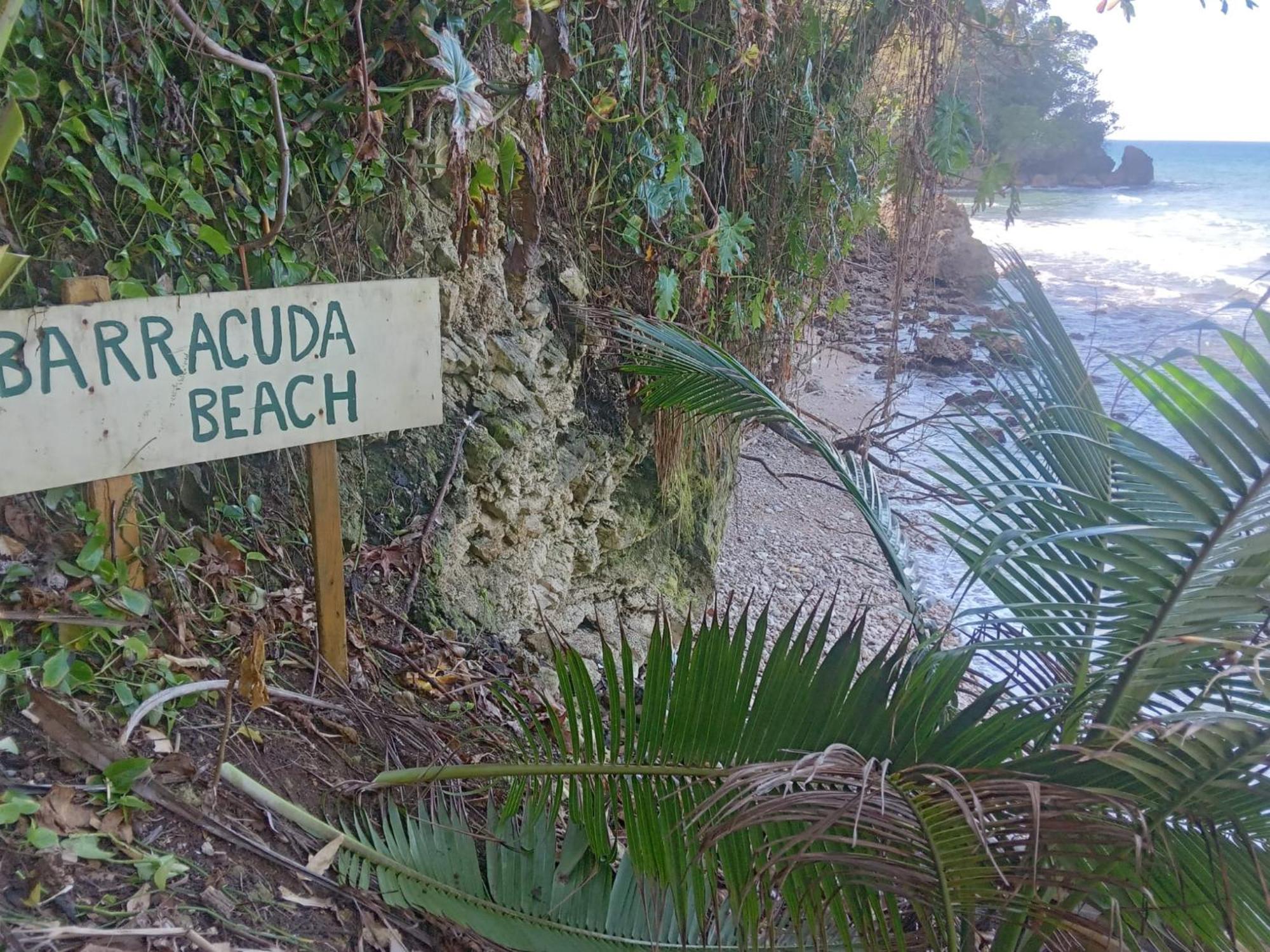 Hotel Barracuda Beach Port Antonio Exterior foto