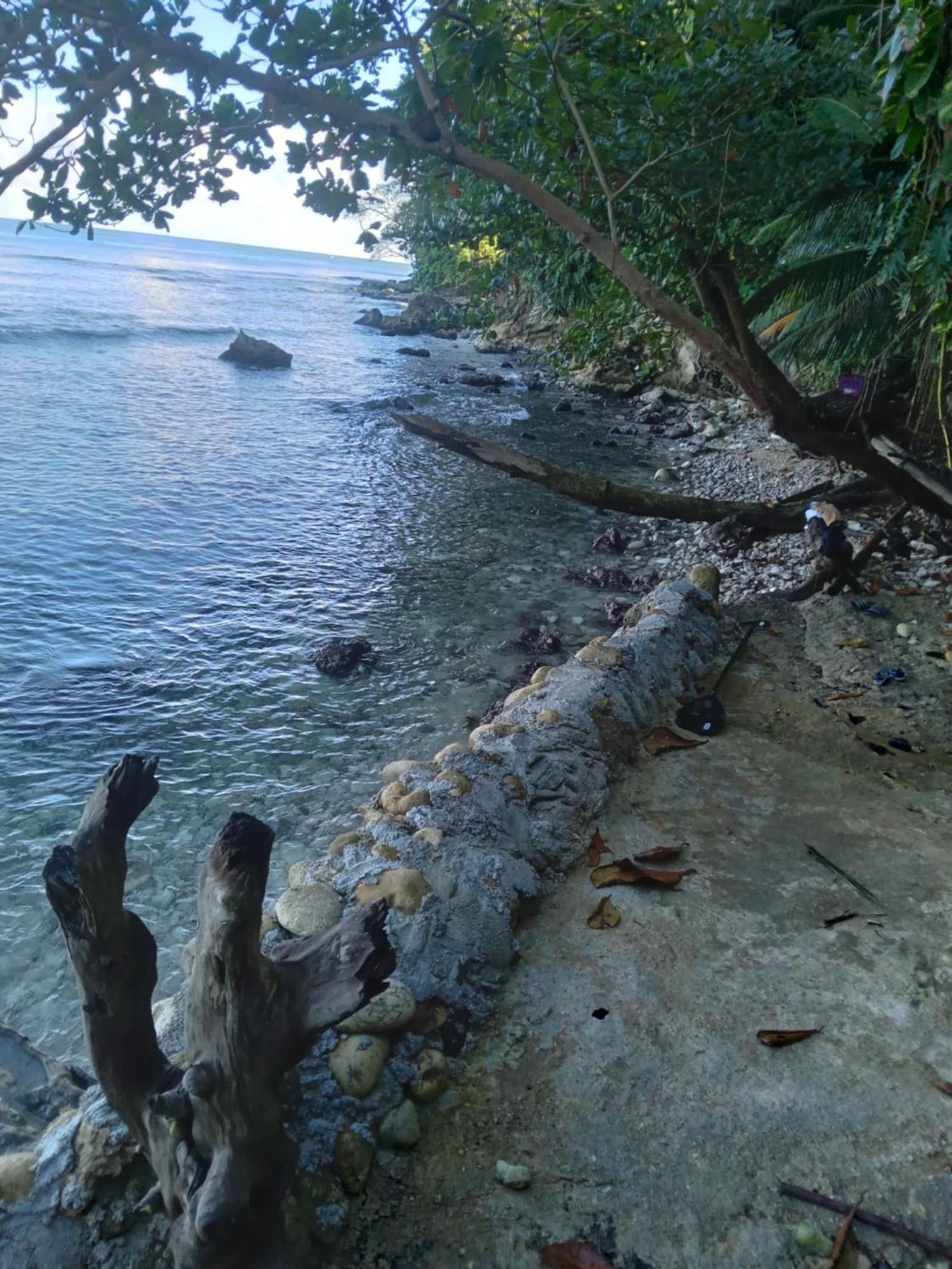 Hotel Barracuda Beach Port Antonio Exterior foto